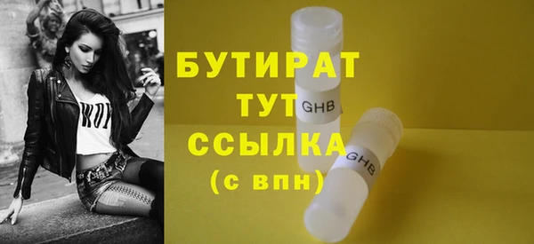 индика Тавда