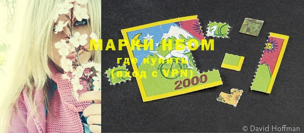 индика Тавда