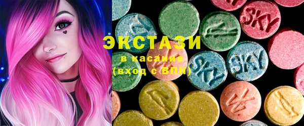 индика Тавда