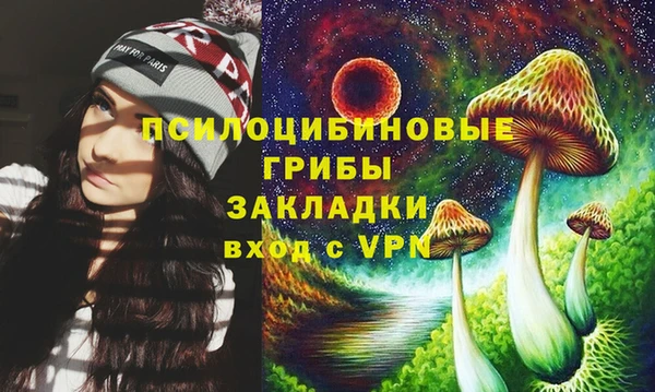 индика Тавда
