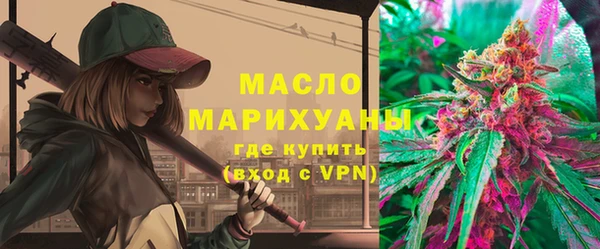 индика Тавда