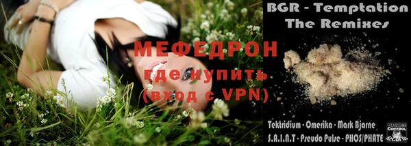 индика Тавда