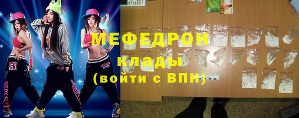 индика Тавда