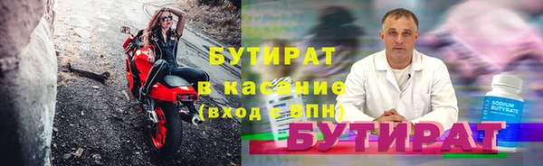 индика Тавда