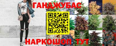 гидропоника Ливны